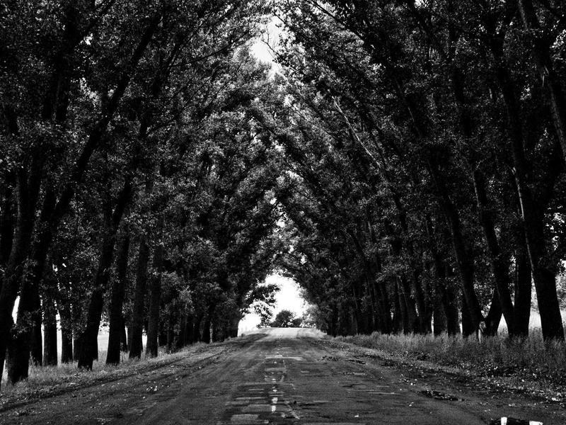 தைப்பொங்கல் 2026: பாரம்பரிய முறைகளும் நவீன கொண்டாட்டமும்